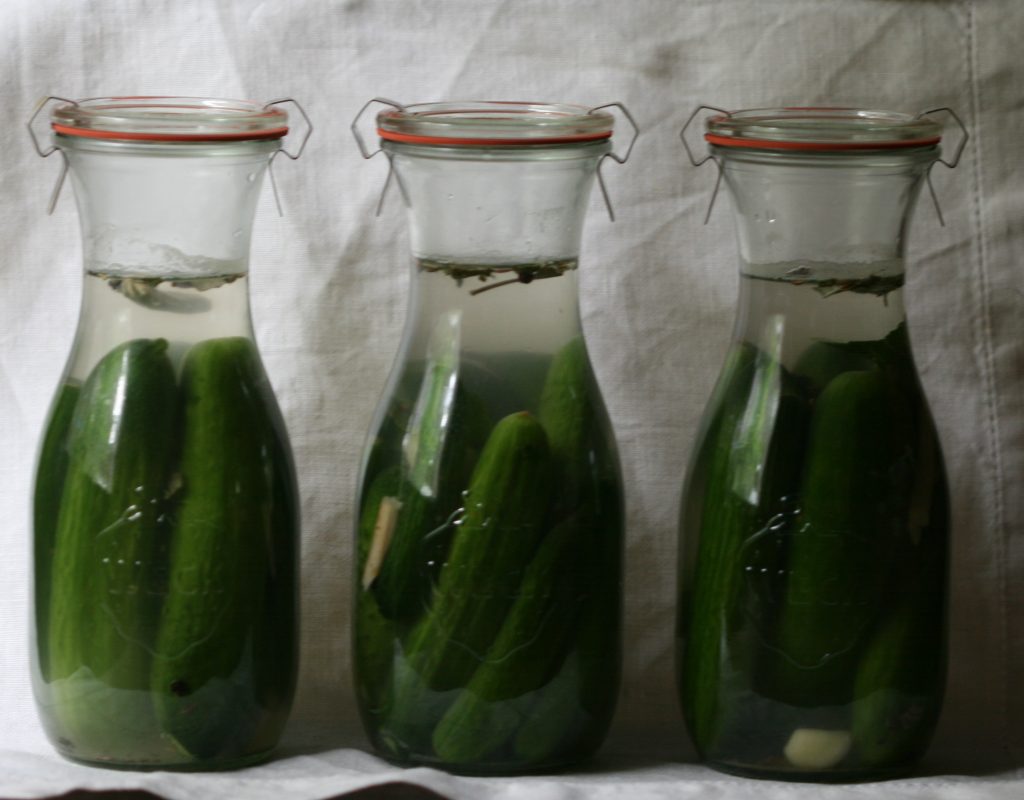 Denistone - Moss House fermented cucumbers