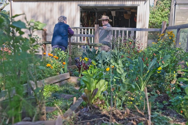 Sydney Edible Garden Trail - Turramurra Lookout Community Garden