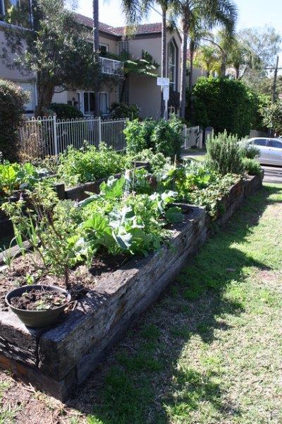 Sydney Edible Garden Trail - raised beds in the Naremburn community garden