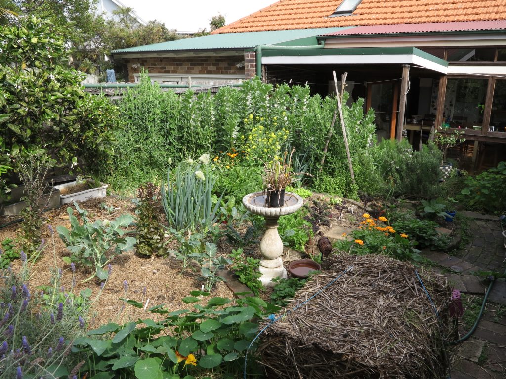 Sydney Edible Garden Trail - Northern Beaches edible garden