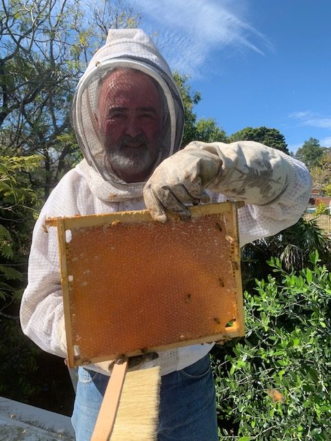 Sydney Edible Garden Trail - backyard bee hives