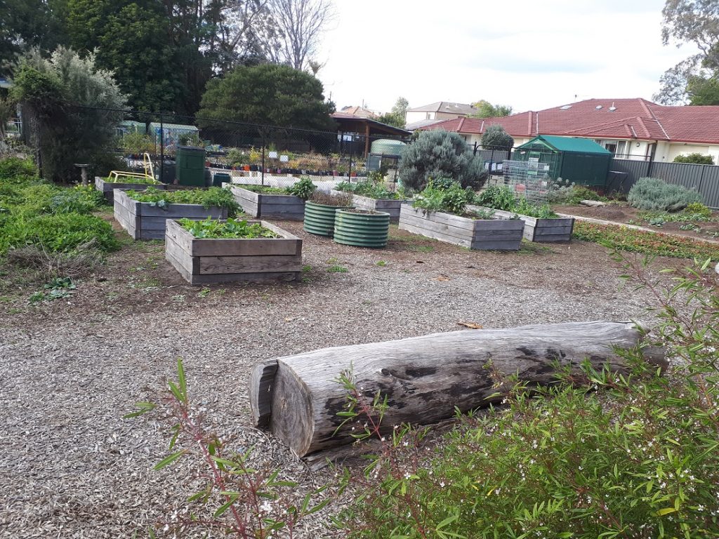 Sydney Edible Garden Trail - The Habitat community garden