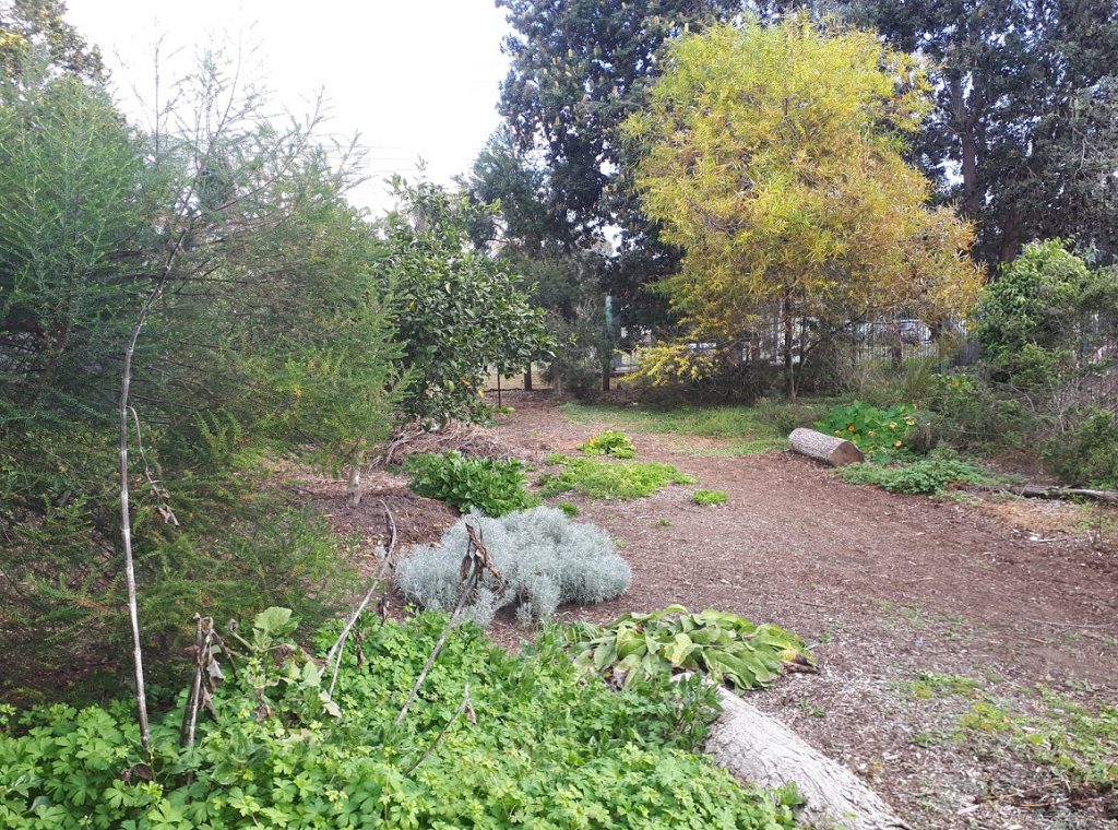 Sydney Edible Garden Trail - The Habitat community garden