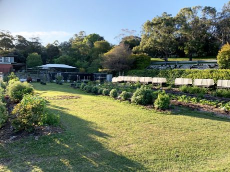 Sydney Edible Garden Trail - Henley Green community garden