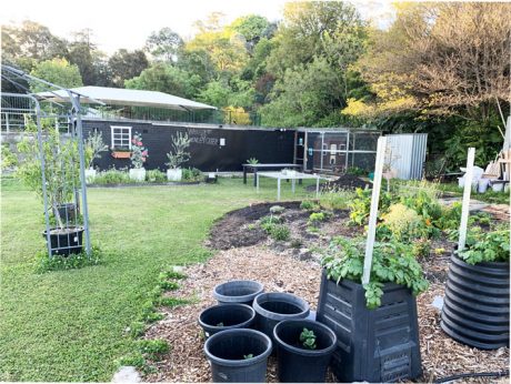 Sydney Edible Garden Trail - Henley Green community garden