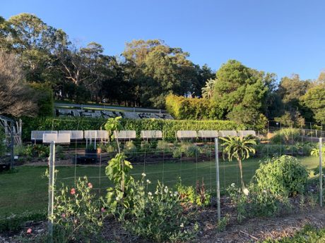 Sydney Edible Garden Trail - Henley Green community garden