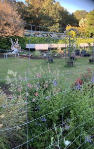Sydney Edible Garden Trail - Henley Green community garden