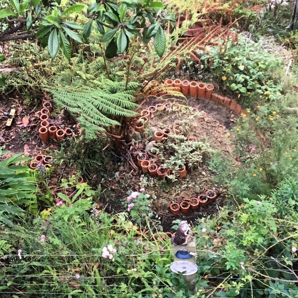 Sydney Edible Garden Trail - Northern Beaches edible garden