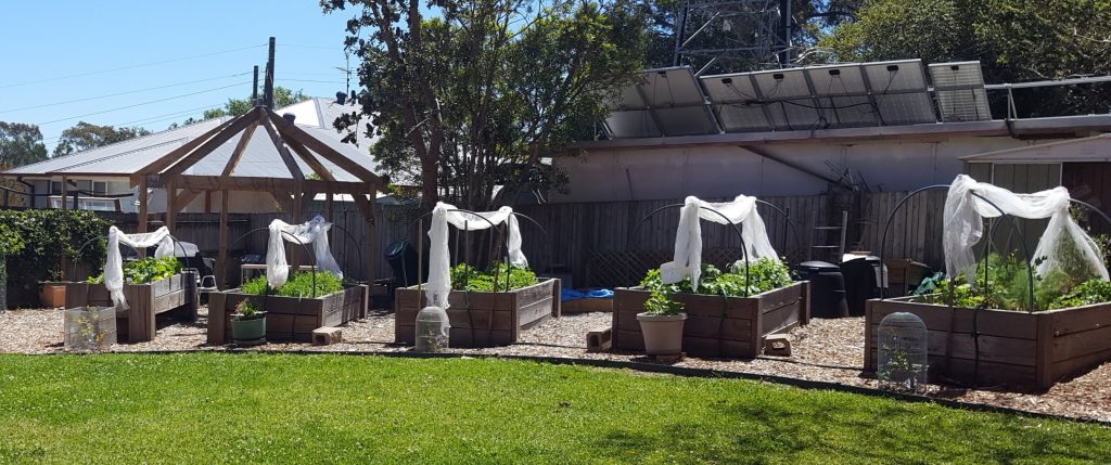 Sydney Edible Garden Trail - Binnowee Community Garden