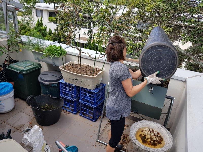 composting up on the rooftop