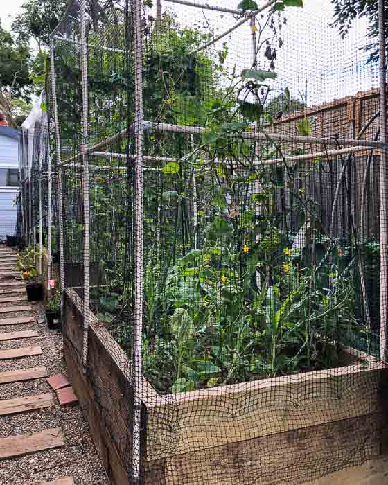 Sydney Edible Garden Trail - Driveway Veggie Patch