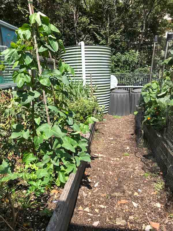 Sydney Edible Garden Trail - Garden Hub Community Garden