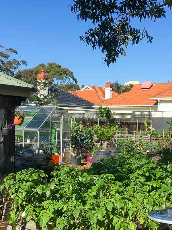 Sydney Edible Garden Trail - Mackie Lane Community Garden