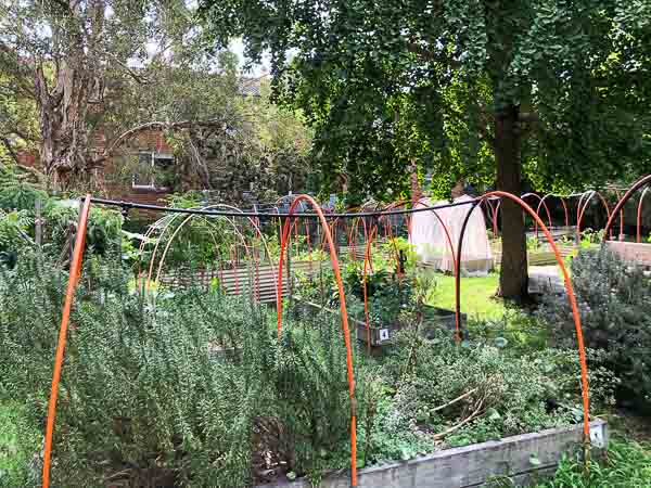 Sydney Edible Garden Trail - Newport Community Garden