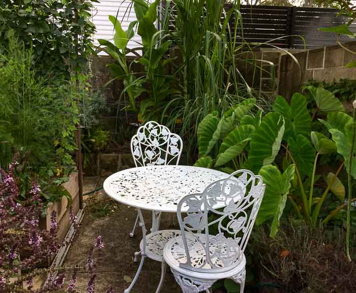 Sydney Edible Garden Trail